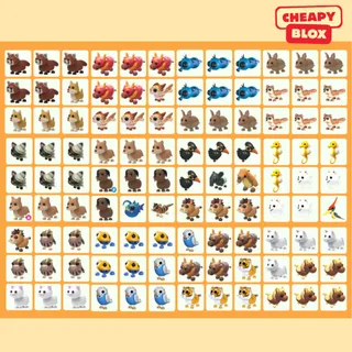 Bundle Pet