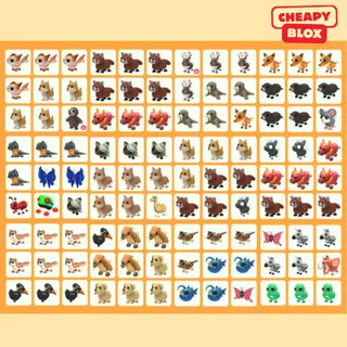 Bundle Pet