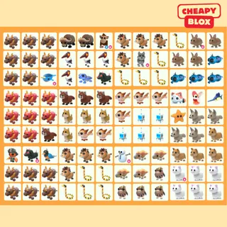 Bundle Pet
