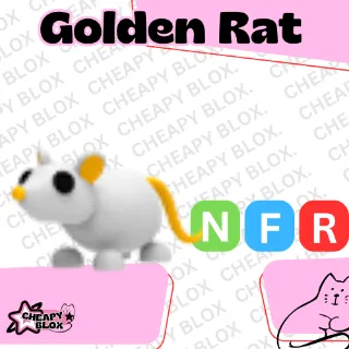 NFR GOLDEN RAT
