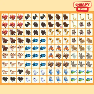 Bundle Pet