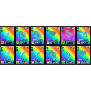 x12 Pet Bundle | Build a Zoo