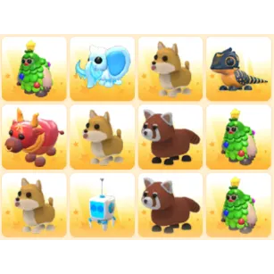 Bundle Pet x12