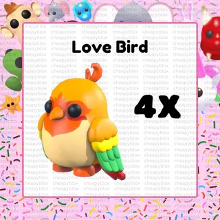 Love Bird