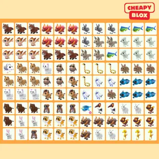 Bundle Pet