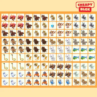 Bundle Pet