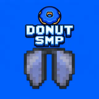 elytra (donut smp)