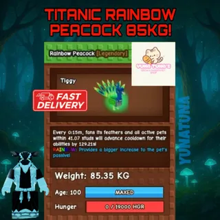 TITANIC RAINBOW PEACOCK