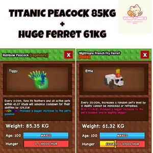 BUNDLE PEACOCK + FERRET