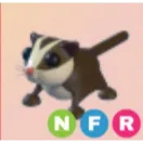 NFR SUGAR GLIDER - ADOPT ME / ADOPT ME!