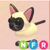 NFR SIAMESE - ADOPT ME / ADOPT ME!
