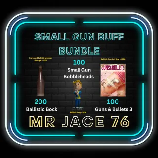 Aid | Small Gun Buff Bundle