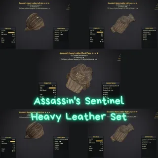 Assassin Sent H Leather