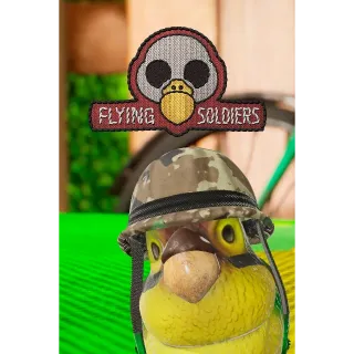 FLYING SOLDIERS