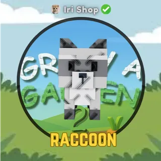 Raccoon