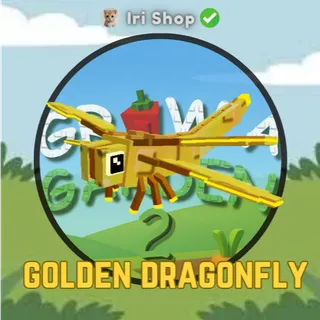 2 Golden Dragonfly GAG2