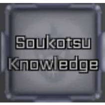 SOUKOTSU KNOWLEDGE - PEROXIDE