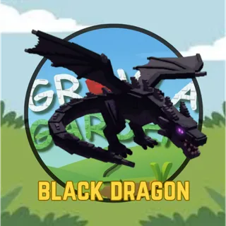 Black Dragon 
