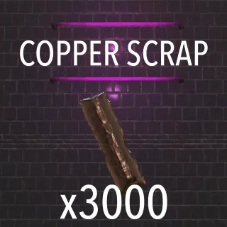 Copper x3000