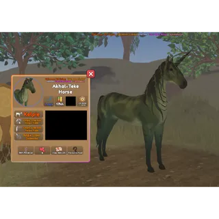 Akhal-Teke Green Seaweed Kelpie
