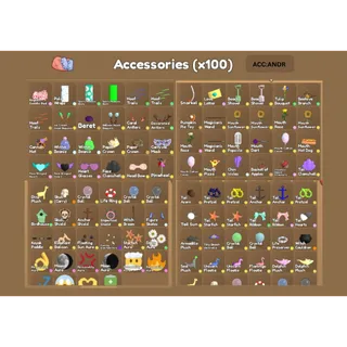 100x Accessories