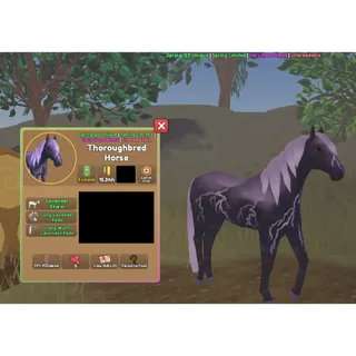 Lavender Storm Thoroughbred