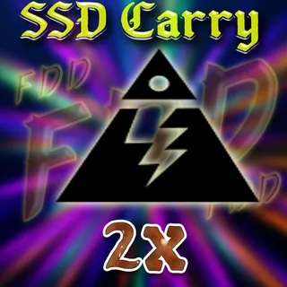 SSD Carry 2x