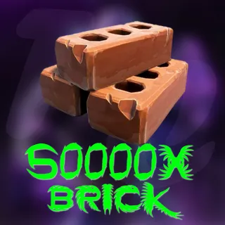 Brick 50k