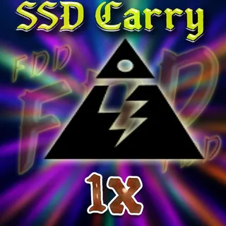 SSD Carry 1x