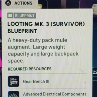 survivor BluePrint