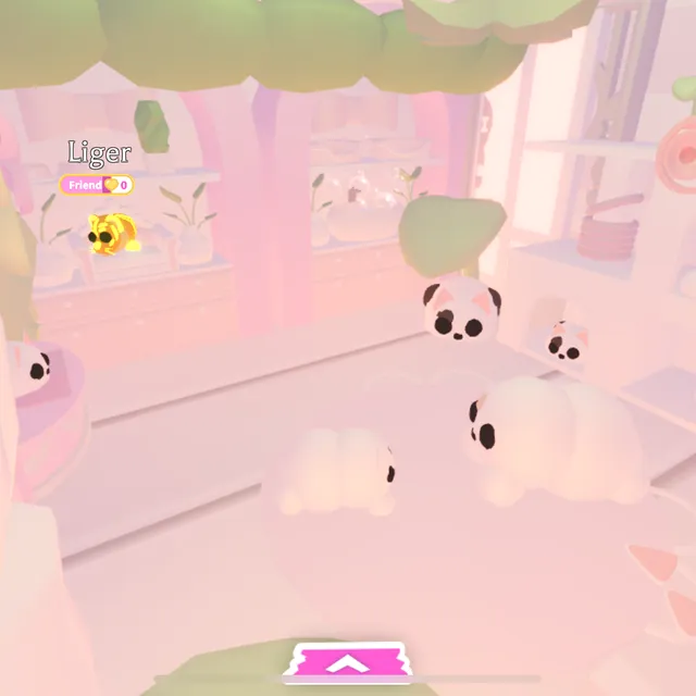 รายการภาพถ่าย