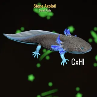 Stone Axolotl x2