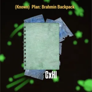 Brahmin Backpack Plan