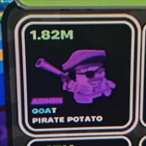 1.82m admin pirate potato 