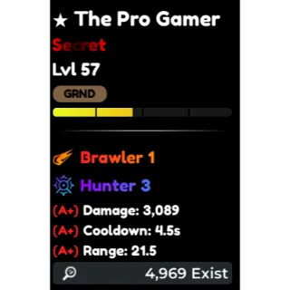 The Pro Gamer