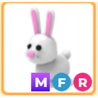 Bunny MFR