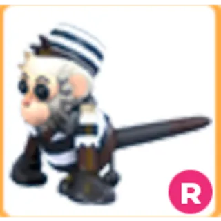 Inmate Capuchin Monkey R