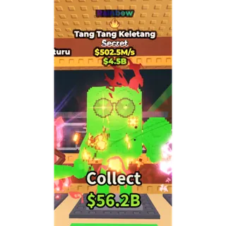 Rainbow tang tang keletang 502.5m/s