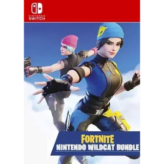 Wildcat Skin Code Fortnite 2k Vbucks