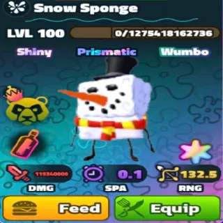 SW SuperStar Snow Sponge