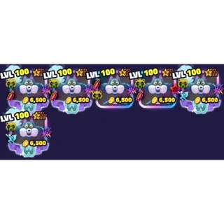 Kenny The Cat Bundle ( 6x )