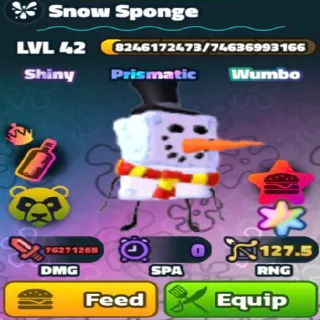 SW SuperStar Snow Sponge