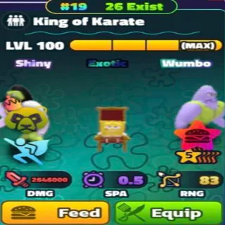 Sw 5s King Of Karate #19