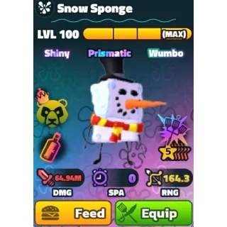 Sw 5s Maxed Snow Sponge