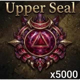 Upper Seal 5,000x
