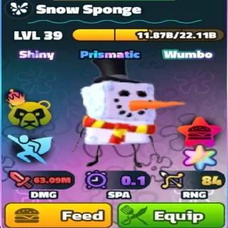 Sw Superstar Snow Sponge