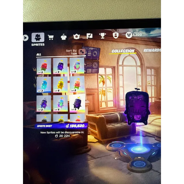 出品写真