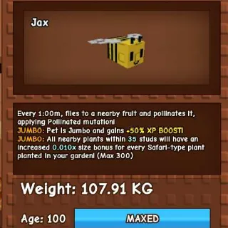 JUMBO COLLOSAL BEE 100KG - GROW A GADRDEN