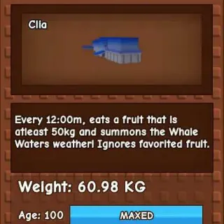 BLUE WHALE 60KG - GROW A GARDEN