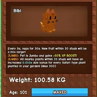 COLLOSAL ORANGE TABBY 100KG - GROW A GARDEN